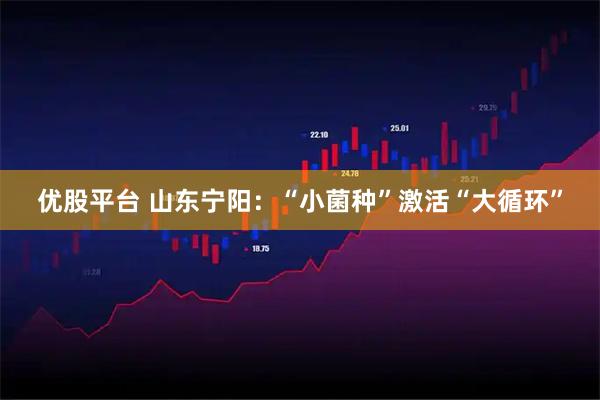 优股平台 山东宁阳:“小菌种”激活“大循环”