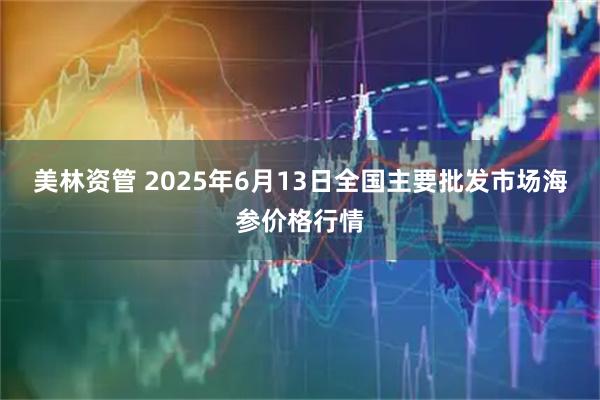 美林资管 2025年6月13日全国主要批发市场海参价格行情