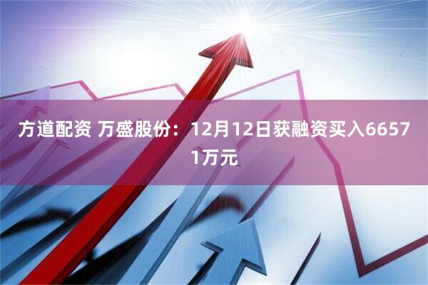 方道配资 万盛股份:12月12日获融资买入66571万元