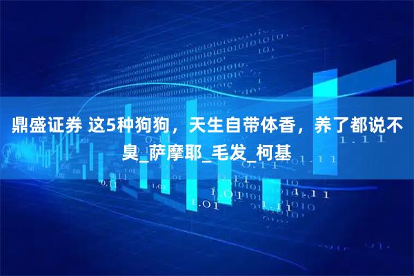 鼎盛证券 这5种狗狗，天生自带体香，养了都说不臭_萨摩耶_毛发_柯基