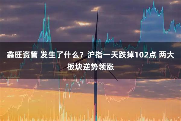 鑫旺资管 发生了什么？沪指一天跌掉102点 两大板块逆势领涨